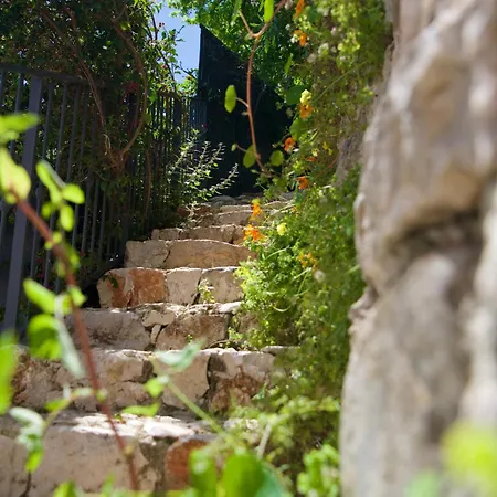 Villa Petit Coin De Paradis A Cote De Monaco Roccabruna