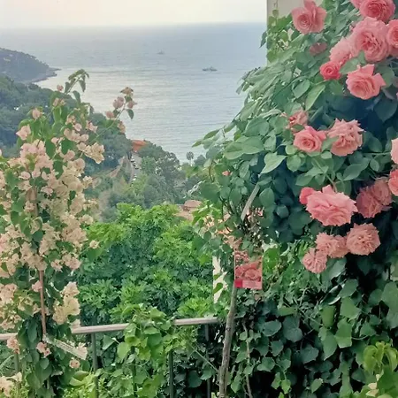Villa Petit Coin De Paradis A Cote De Monaco *
