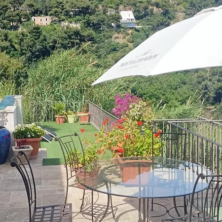 Villa Petit Coin De Paradis A Cote De Monaco Roccabruna