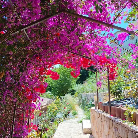 Petit Coin De Paradis A Cote De Monaco Villa