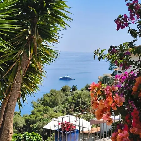 Villa Petit Coin De Paradis A Cote De Monaco Roccabruna
