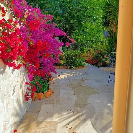 Petit Coin De Paradis A Cote De Monaco روكوبرُن كاب مارتي