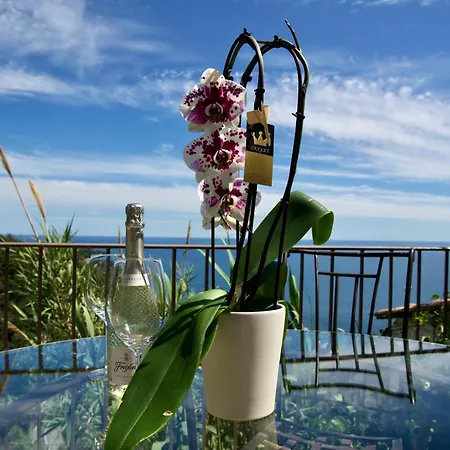 Petit Coin De Paradis A Cote De Monaco فيلة روكوبرُن كاب مارتي