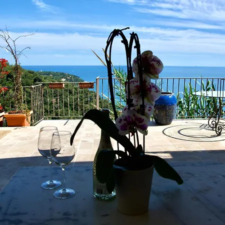 Petit Coin De Paradis A Cote De Monaco *