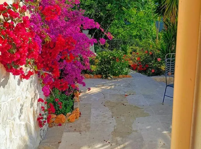 Petit Coin De Paradis A Cote De Monaco روكوبرُن كاب مارتي