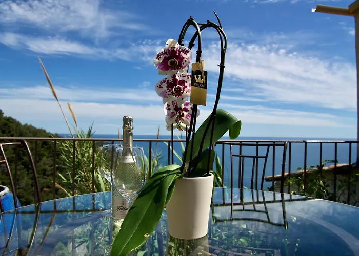 Petit Coin De Paradis A Cote De Monaco فيلة روكوبرُن كاب مارتي